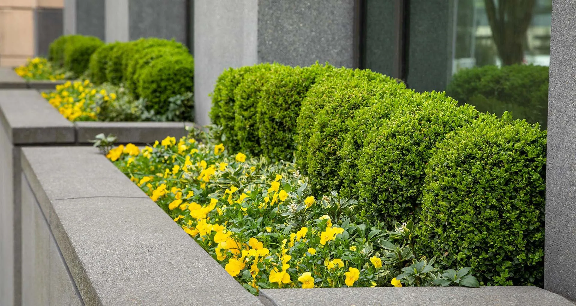 Complete landscaping, garden care and property maintenance