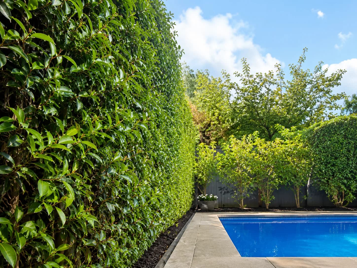 Landscaping and garden design in Adelaide by Nomadic Home and Garden
