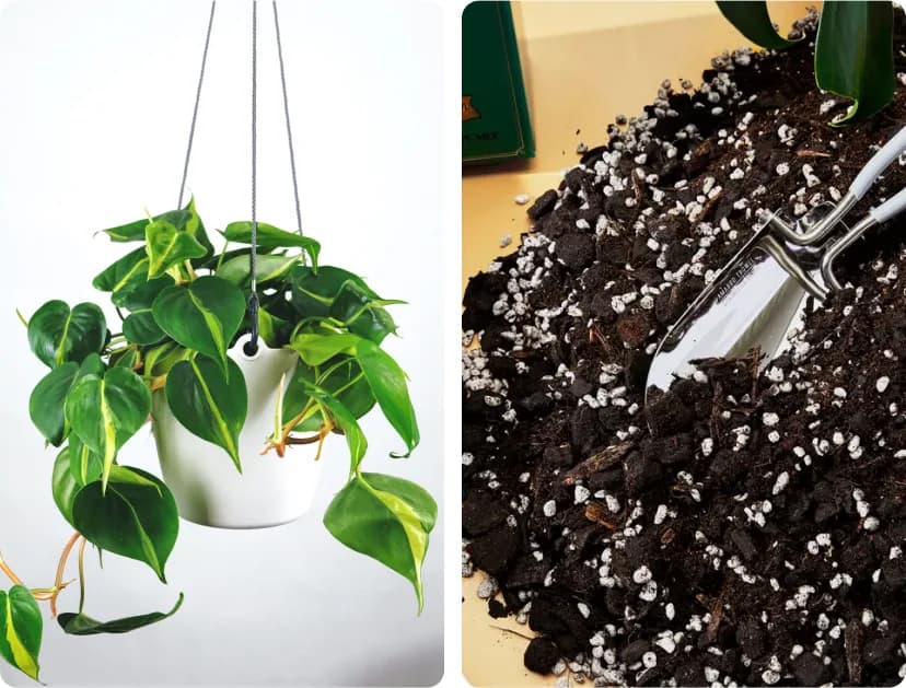 Regular Maintenance Visits