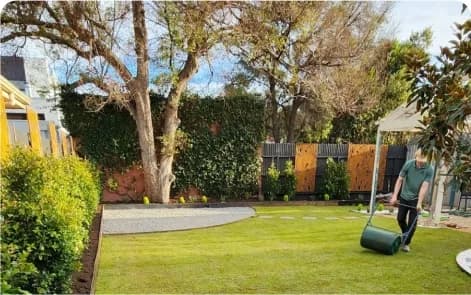 Lawn Rejuvenation