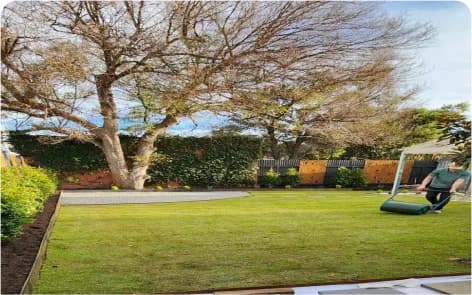 Comprehensive plant and tree installation Adelaide