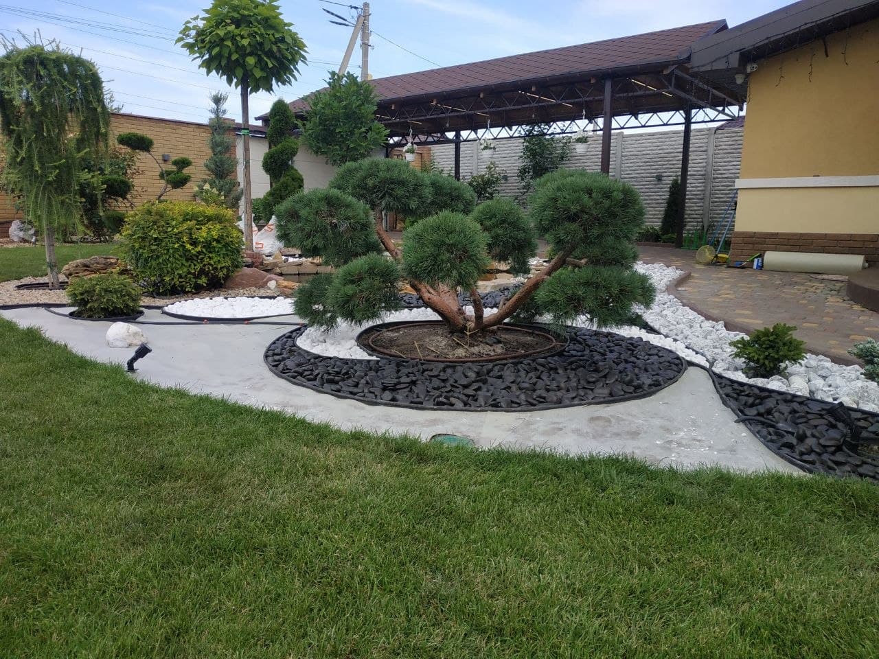 Artistic Topiary Designs