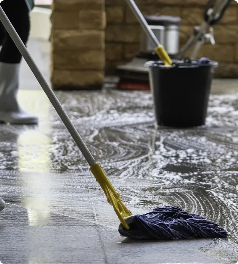 Sparkling clean spaces home and office cleaning Adelaide