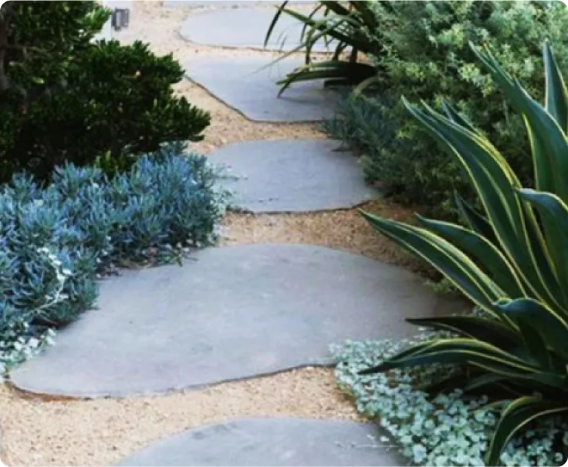 Customised cleaning plans Adelaide