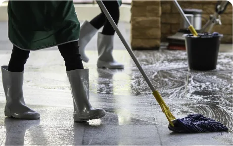 Eco-friendly cleaning products Adelaide