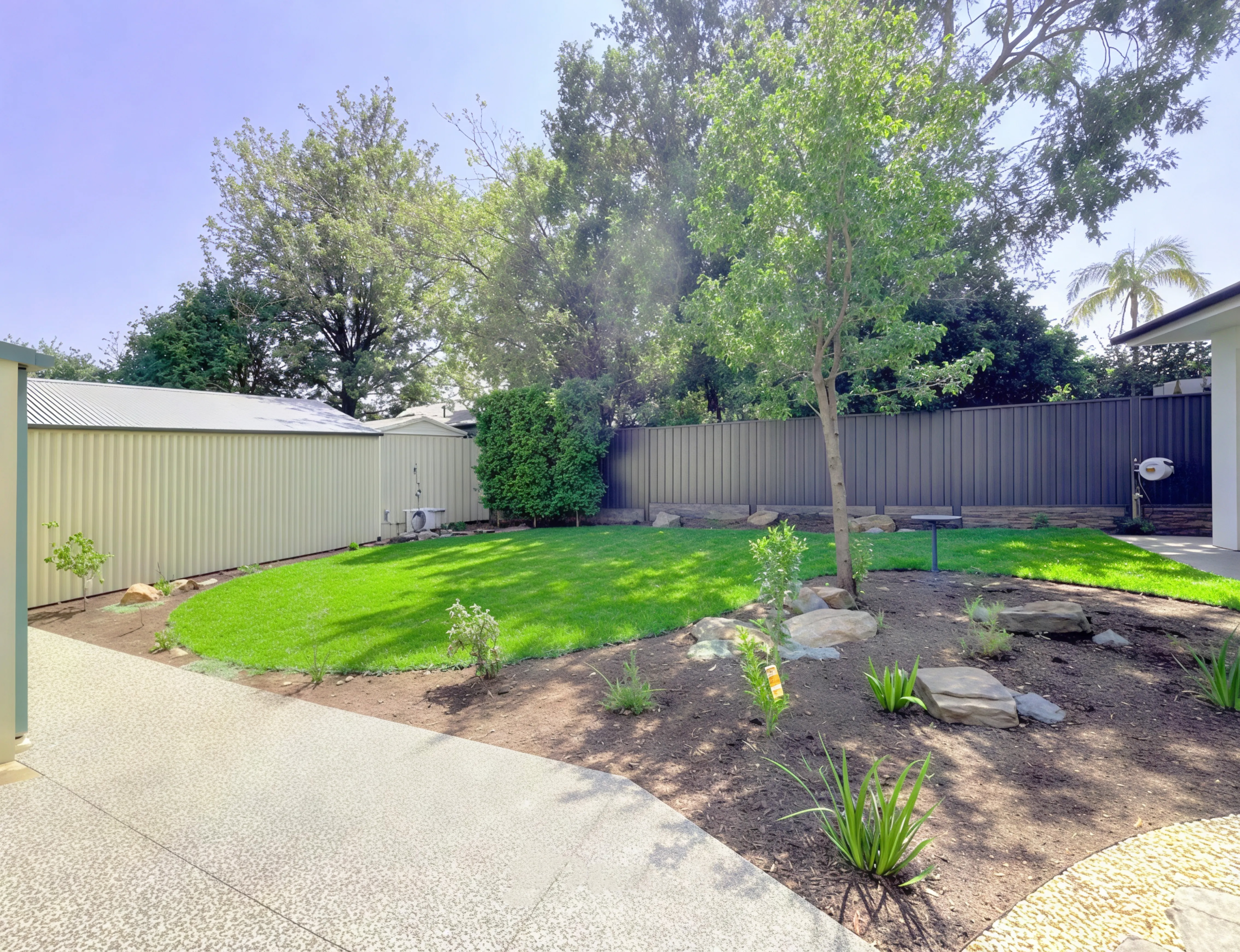 Planting & the reveal — Nomadic Home & Garden landscaping process, Adelaide