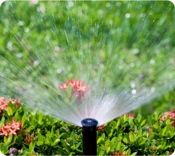 A garden irrigation system ensuring a healthy and thriving garden landscape