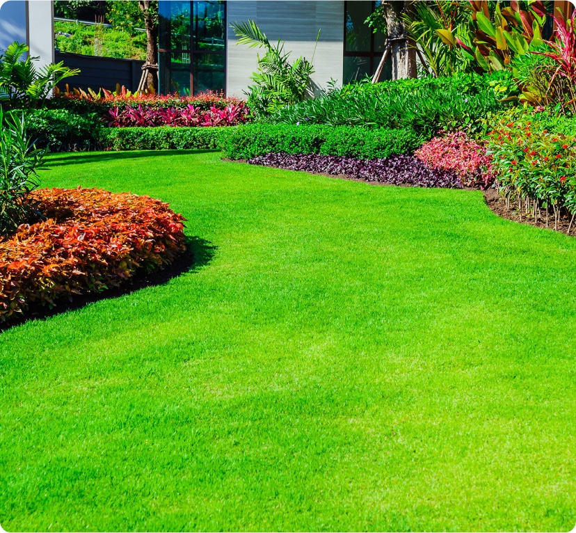 Lush green lawn showcasing expert gardening and lawn care services