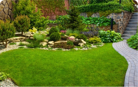 A well-maintained garden with vibrant plants and expert landscaping