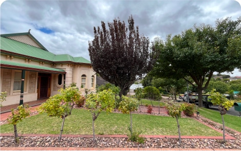 Stunning landscaping with carefully arranged plants and a well-designed layout